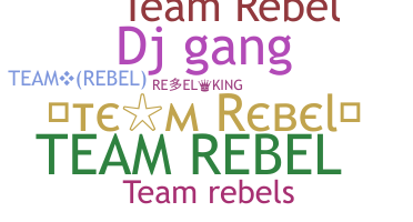 Nickname - TeamRebel