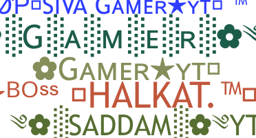 Nickname - GamerYT