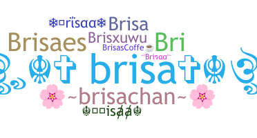Nickname - Brisaa