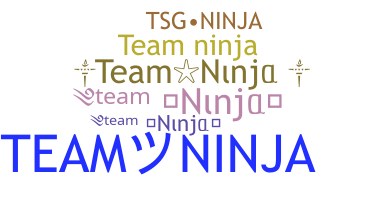 Nickname - TeamNinja