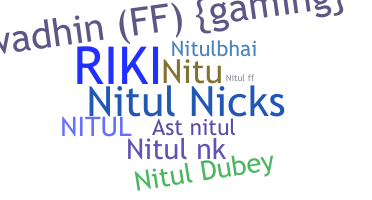 Nickname - Nitul