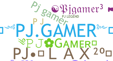 Nickname - PJgamer