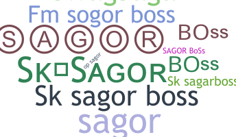 Nickname - SksagorBoss