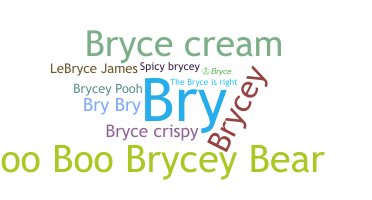 Nickname - Bryce