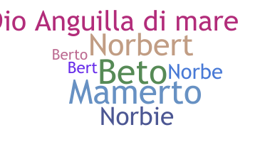Nickname - Norberto