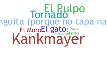 Nickname - Arquero