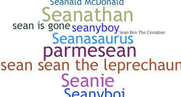 Nickname - sean