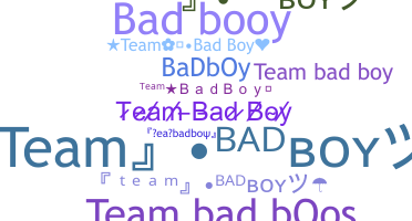 Nickname - teambadboy