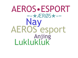 Nickname - Aeros