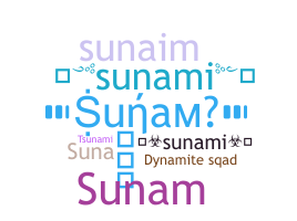 Nickname - Sunami