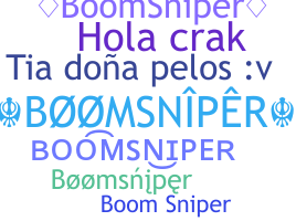 Nickname - BoomSniper