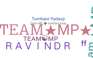 Nickname - TeamMP