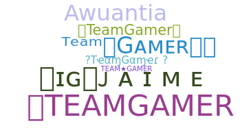 Nickname - TeamGamer
