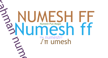 Nickname - Numesh