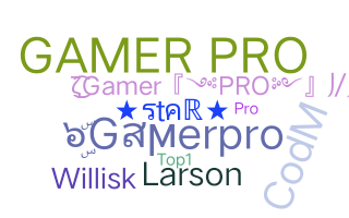 Nickname - Gamerpro