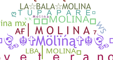 Nickname - Molina