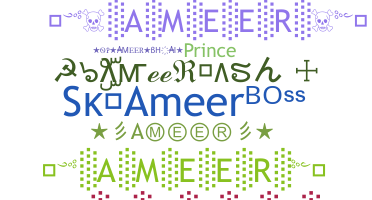 Nickname - Ameer