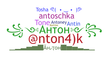 Nickname - Anton