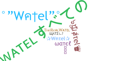 Nickname - watel