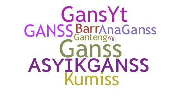 Nickname - GansS