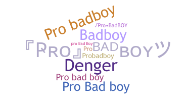 Nickname - ProBadboy