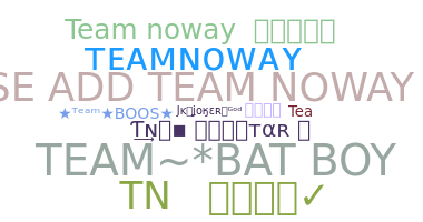Nickname - TEAMNOWAY