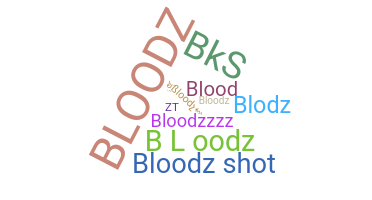 Nickname - bloodz