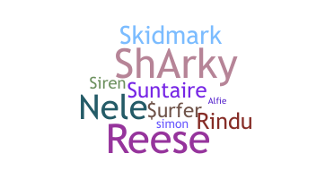 Nickname - Surfer