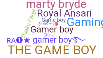 Nickname - gamerboy