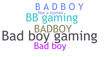 Nickname - BadBoyGaming