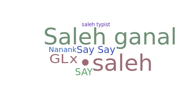 Nickname - Saleh