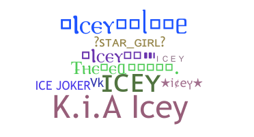 Nickname - icey