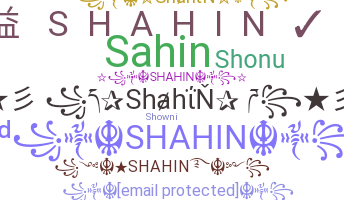 Nickname - Shahin