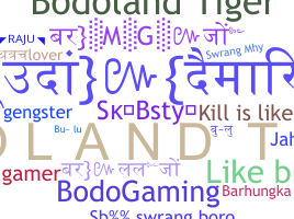 Nickname - Bodoland