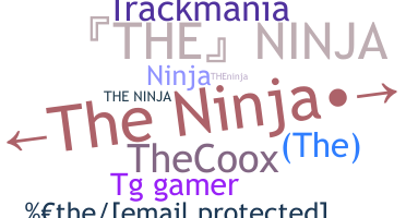 Nickname - TheNinja