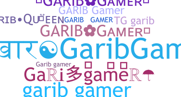 Nickname - Garibgamer