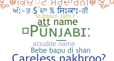 Nickname - Punjabi