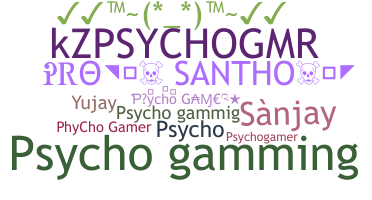 Nickname - PsychoGamer