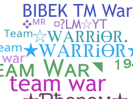 Nickname - TeamWar