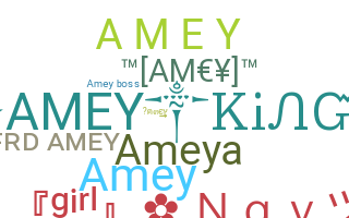 Nickname - AmeY
