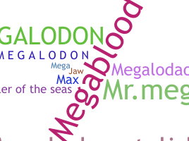 Nickname - Megalodon