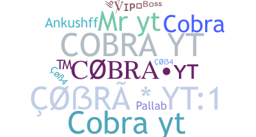 Nickname - CobraYT