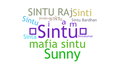 Nickname - sintu