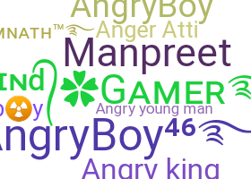 Nickname - angryboy