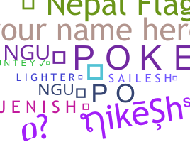 Nickname - Nepalflag