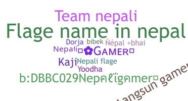 Nickname - Nepaligamer