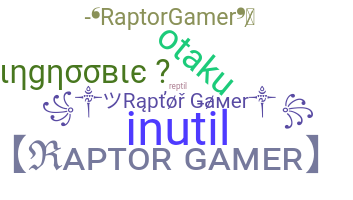 Nickname - Raptorgamer