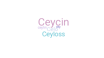 Nickname - Ceylin