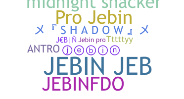 Nickname - Jebin