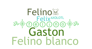 Nickname - Felino